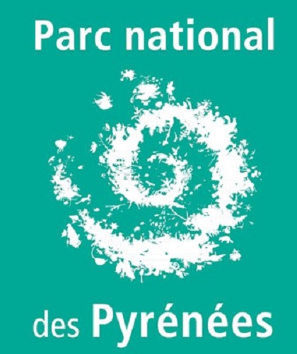 logo pnp